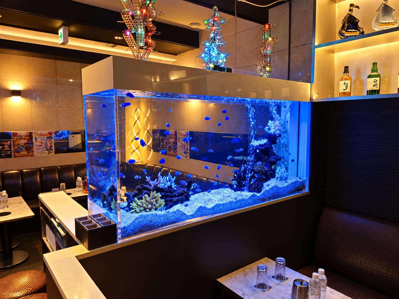 店内の水槽